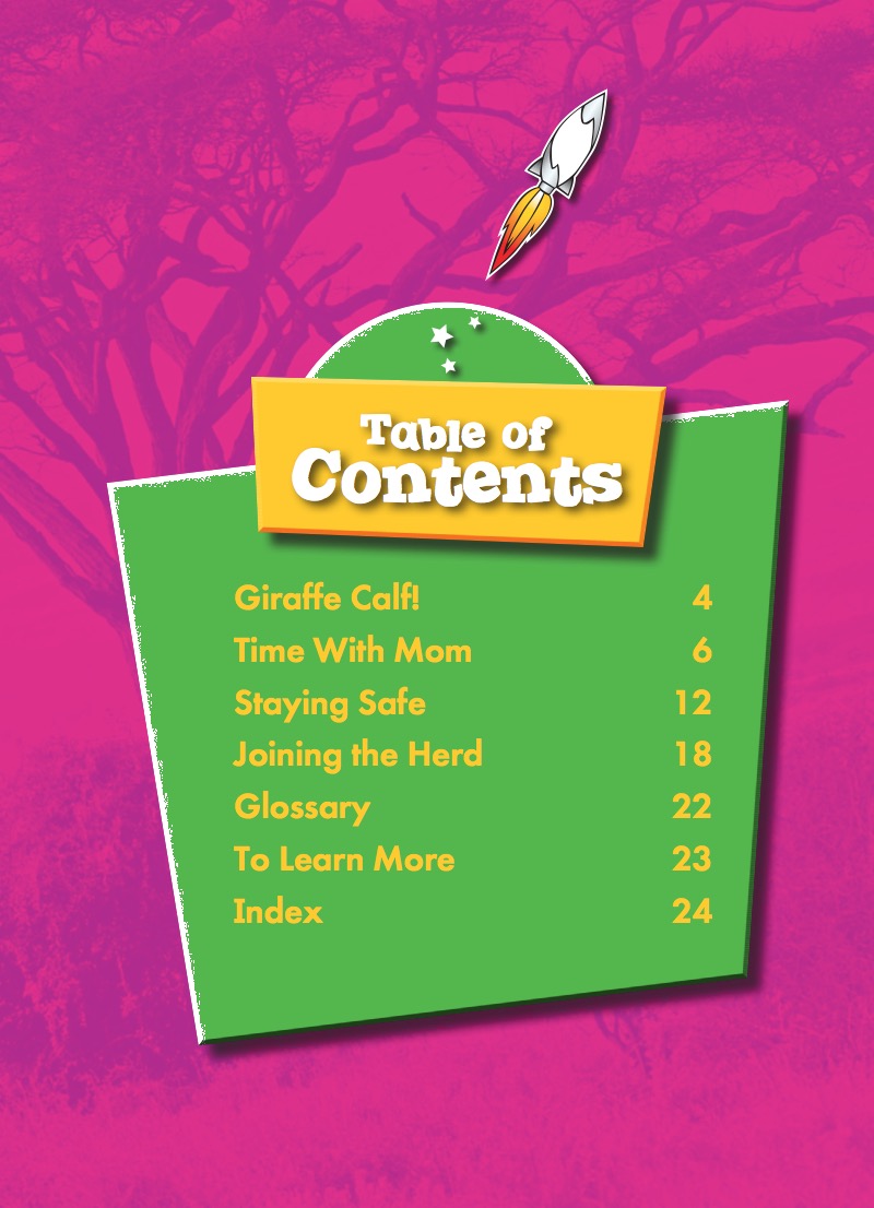 Super Cute! Baby Giraffes book cover
