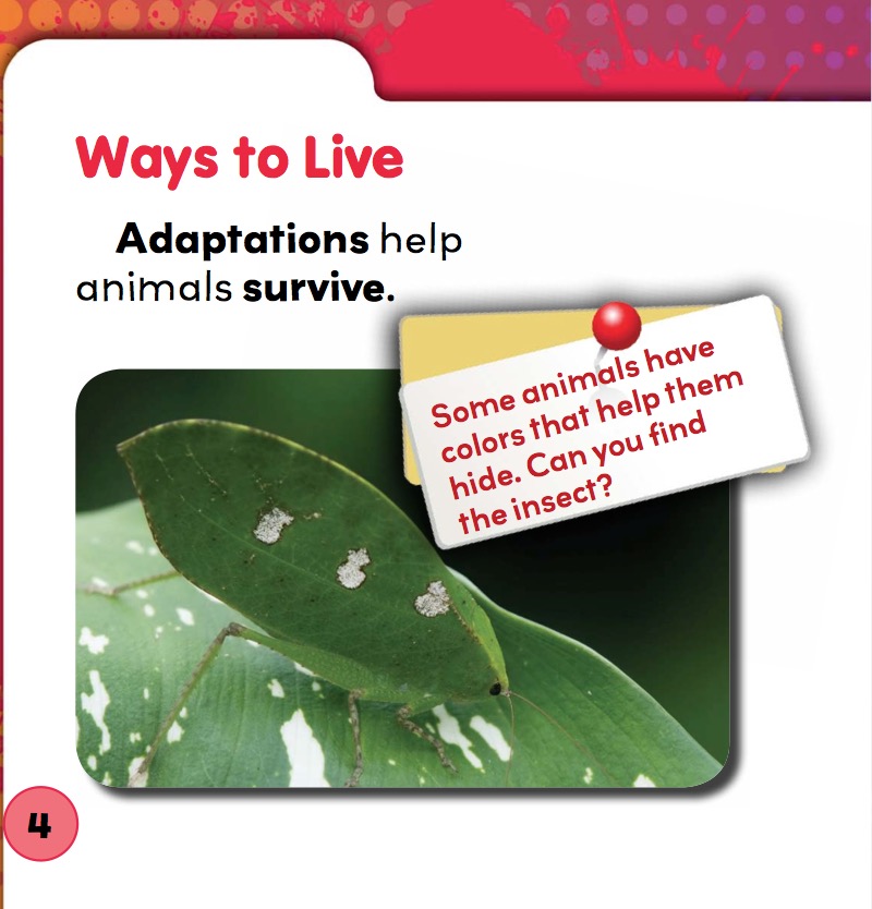 Animal Adaptations — page 1