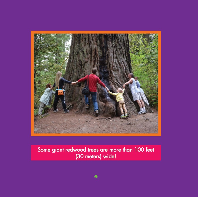 Trees — page 1