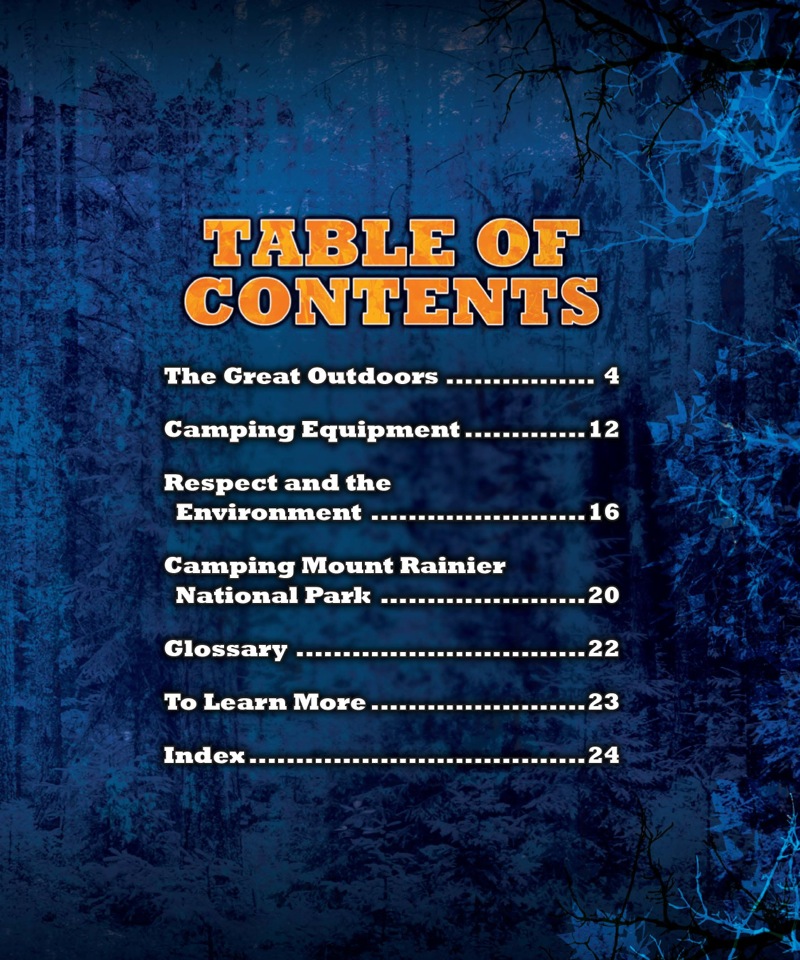 Outdoor Adventures: Camping book cover