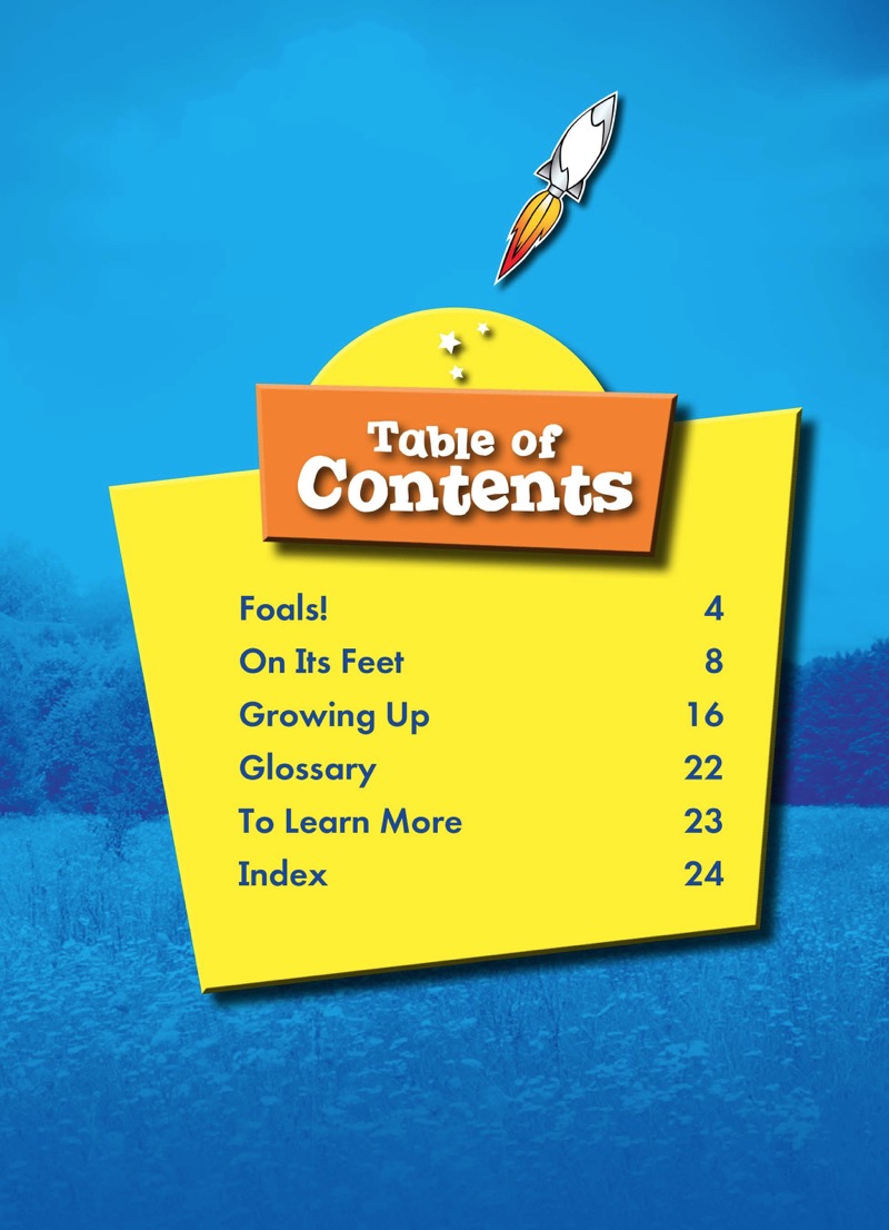 Super Cute! Baby Horses book cover