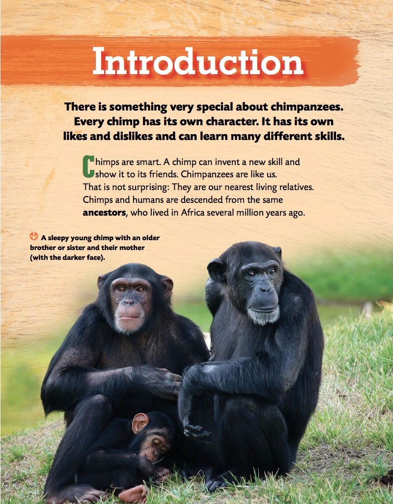 Chimpanzees — page 1