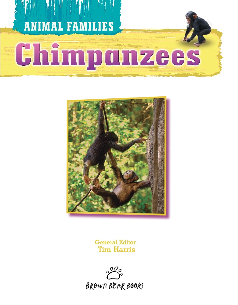 Chimpanzees book cover
