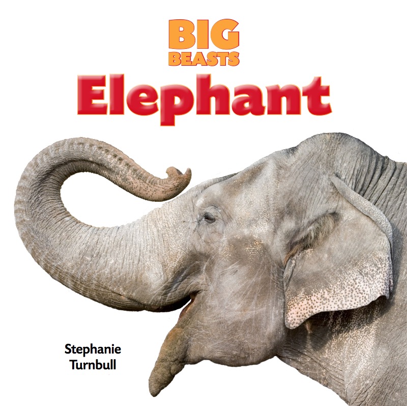 Elephant book cover