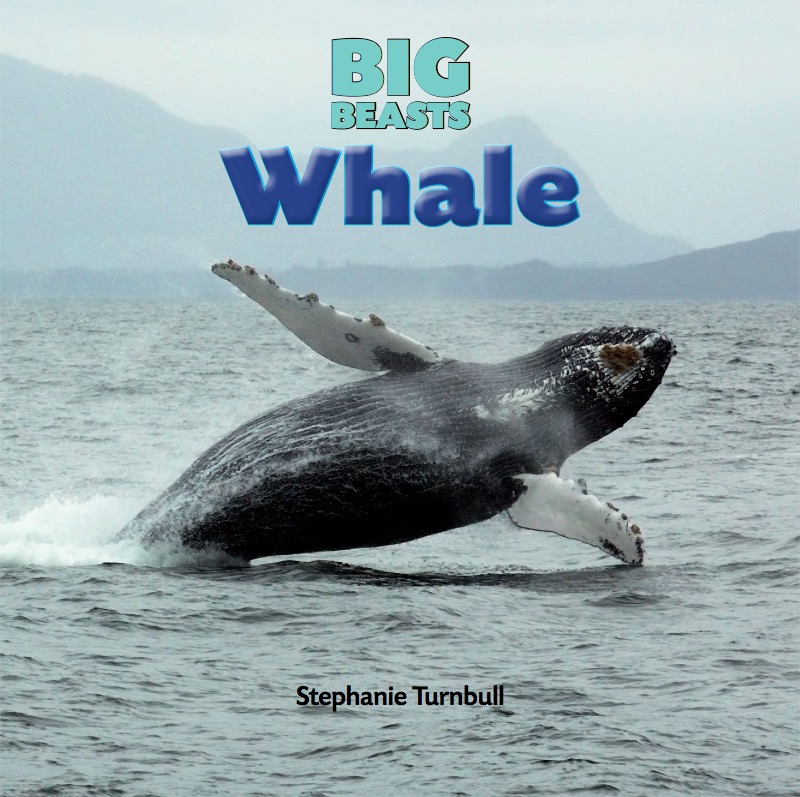 Whale book cover