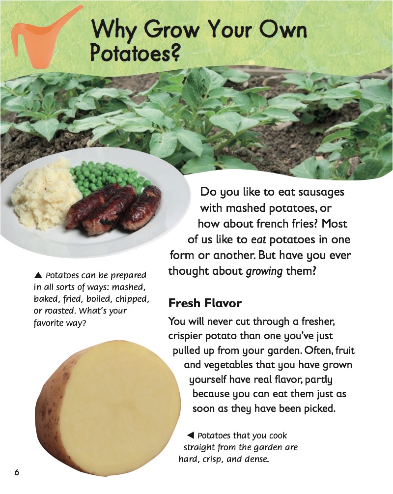 Potatoes — page 1