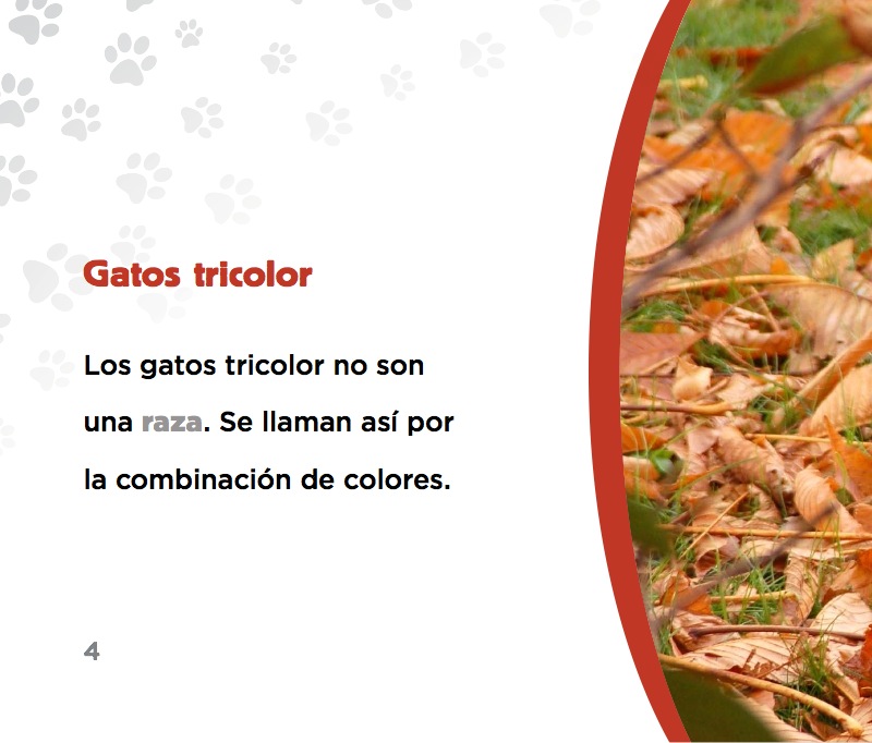 Gatos tricolor — page 1