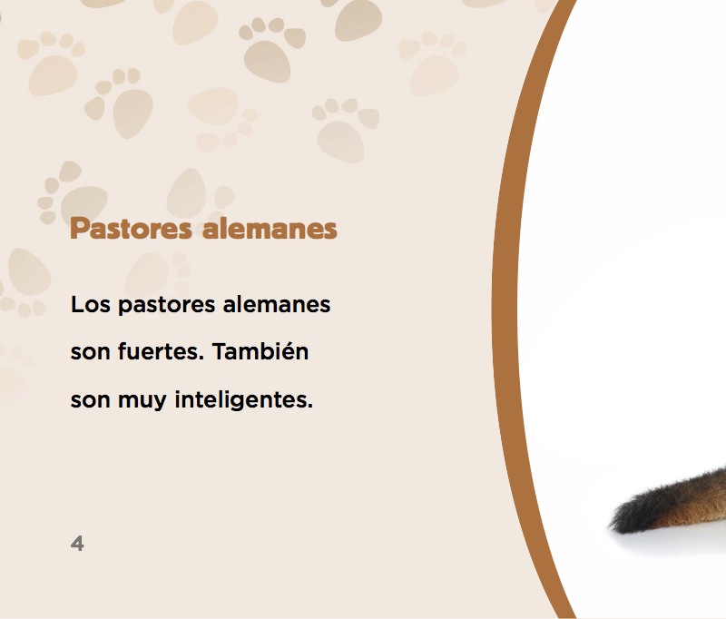 Pastores alemanes — page 1