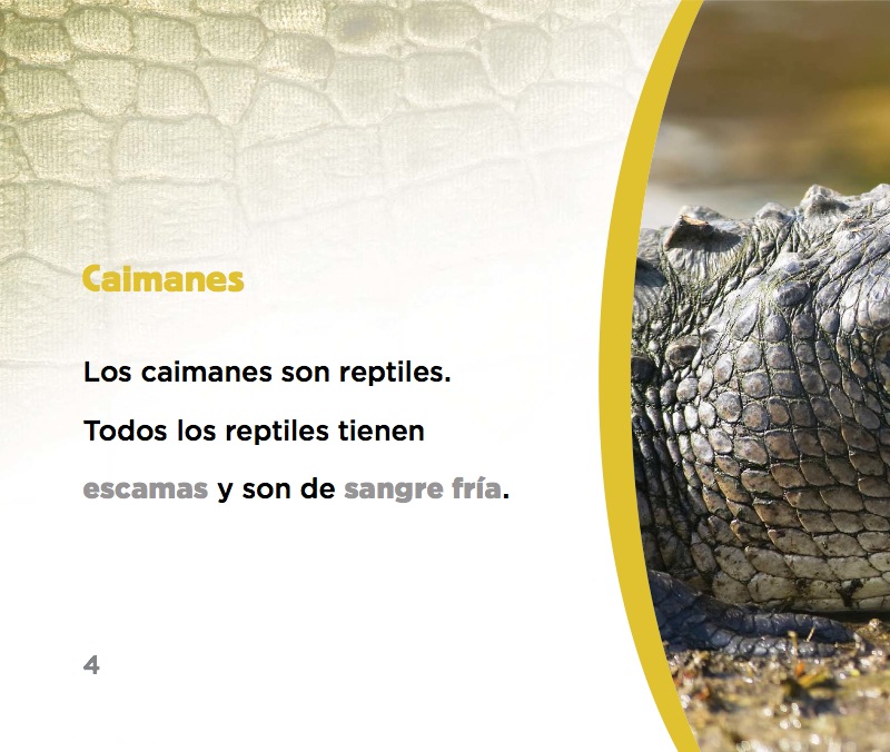 Caimanes — page 1