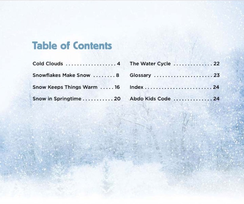 Snow book cover