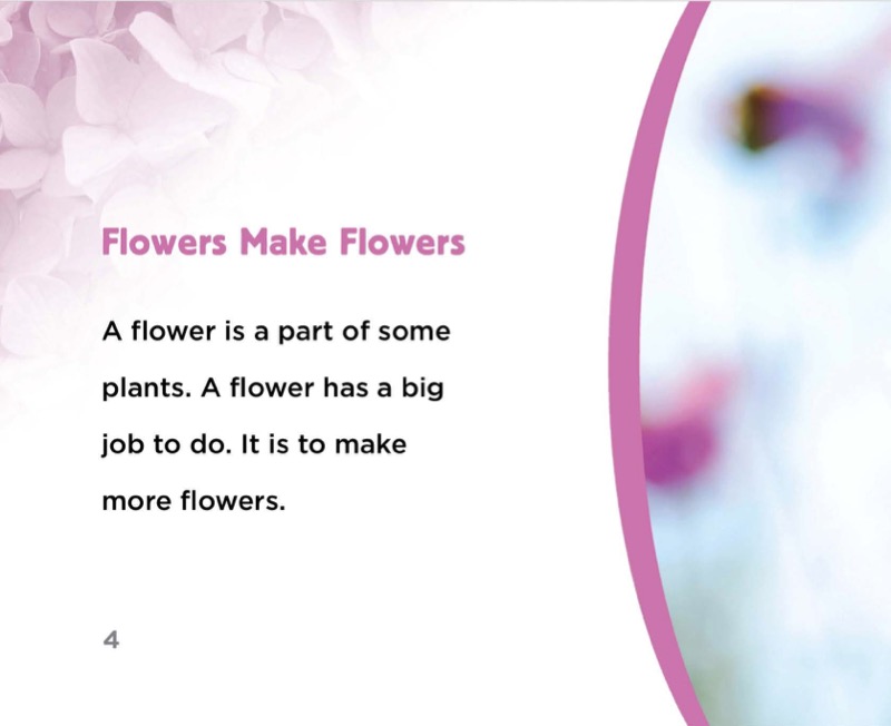 Flowers — page 1