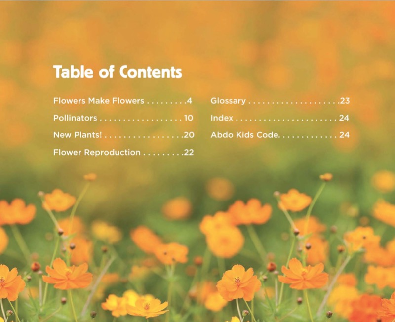 Flowers book cover