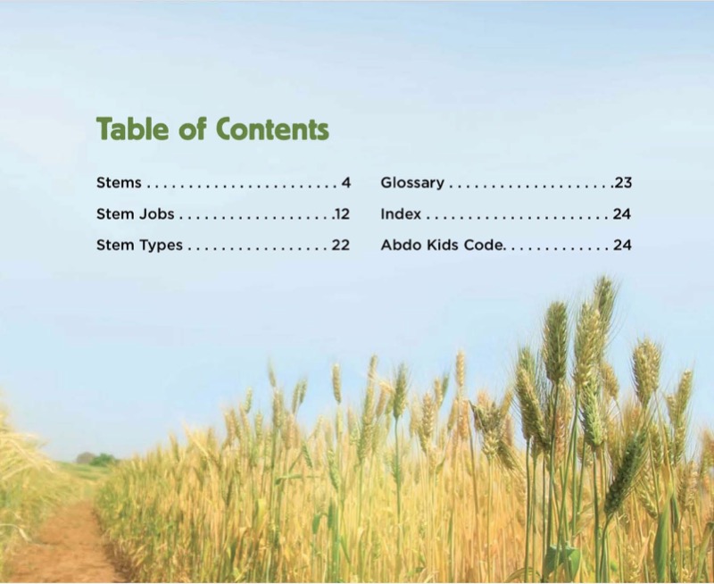 Stems book cover