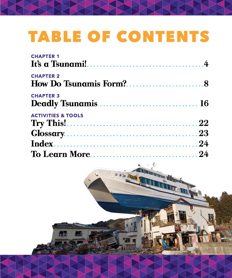 Disaster Zone: Tsunamis book cover