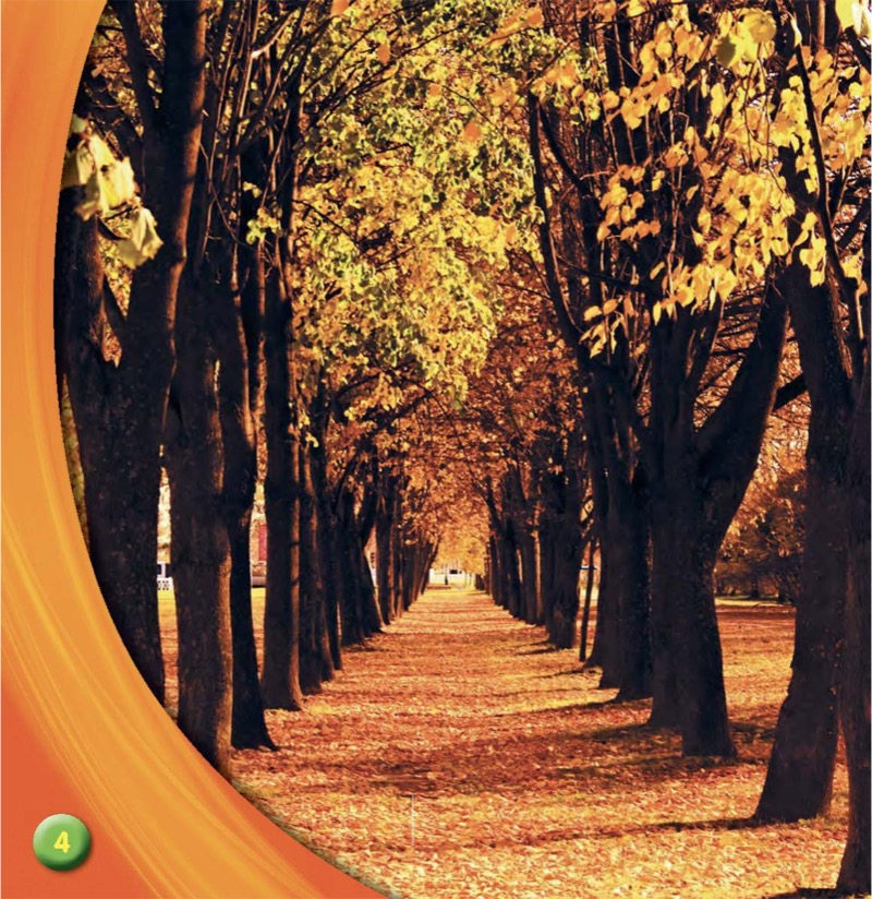 How's the Weather in Fall? — page 1