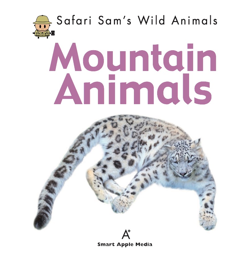 Mountain Animals book cover