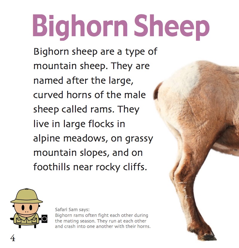 Mountain Animals — page 1