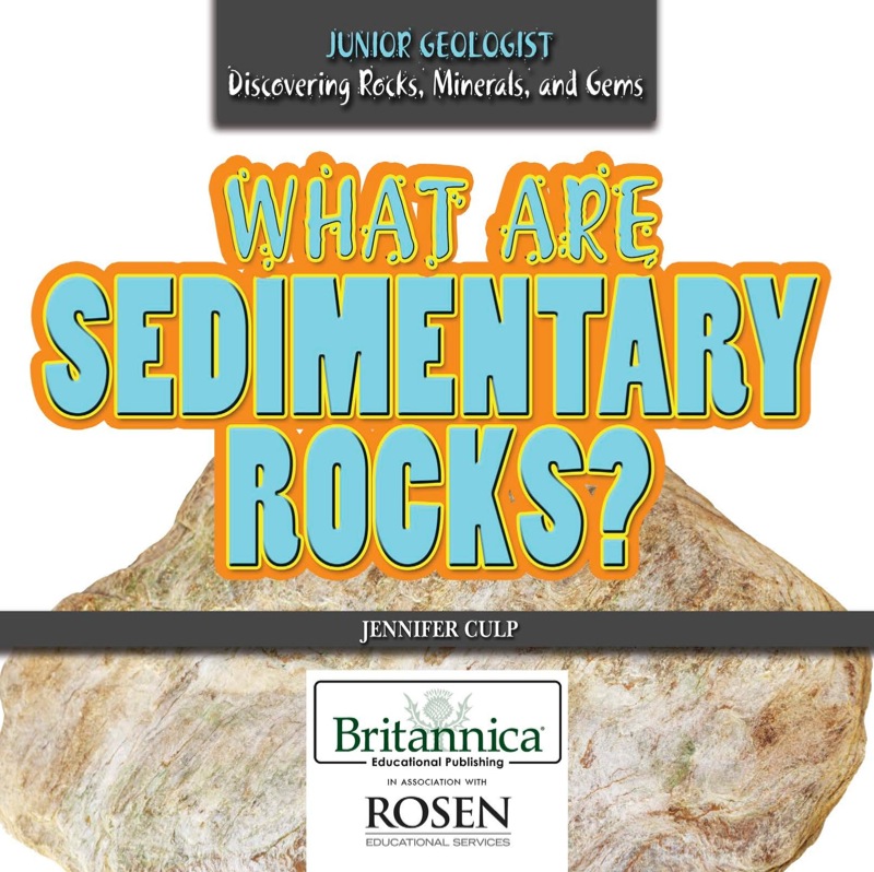 What Are Sedimentary Rocks? book cover