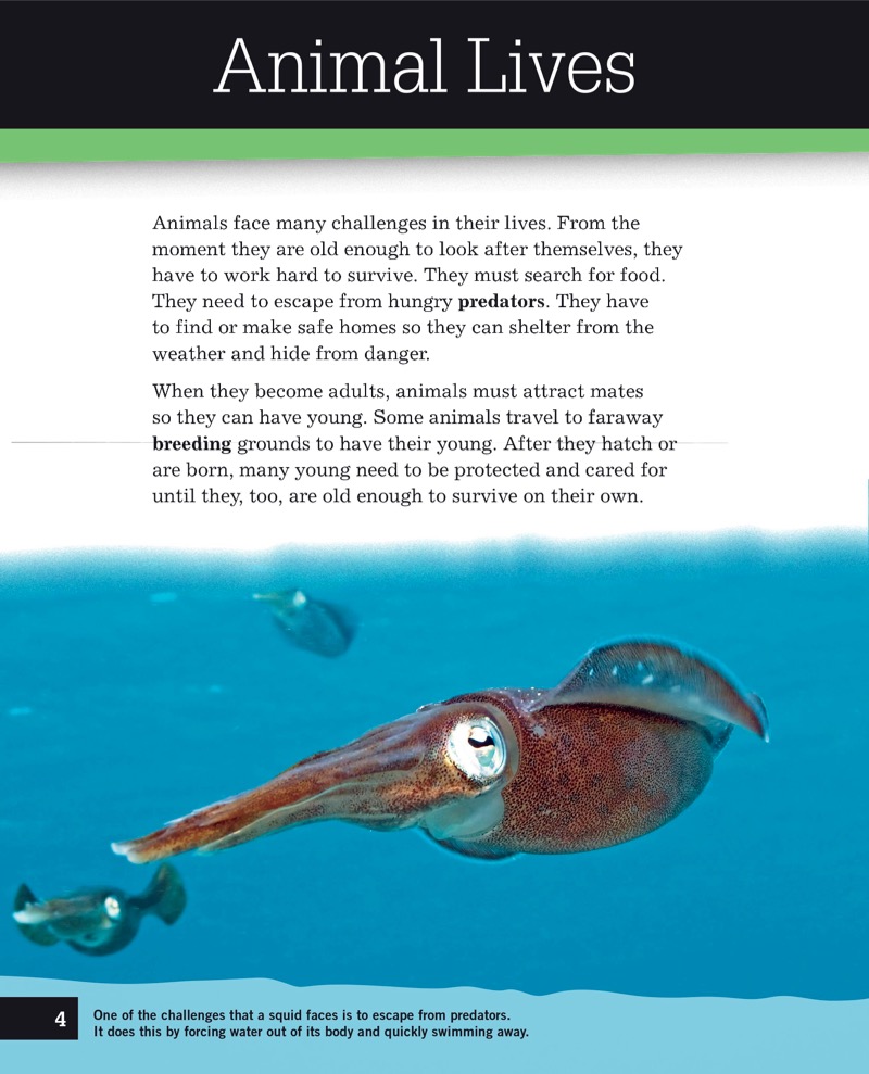 Movement — page 1