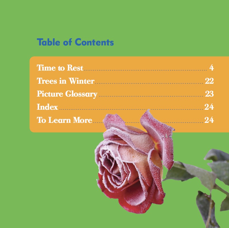What Happens In Winter? Plants In Winter book cover