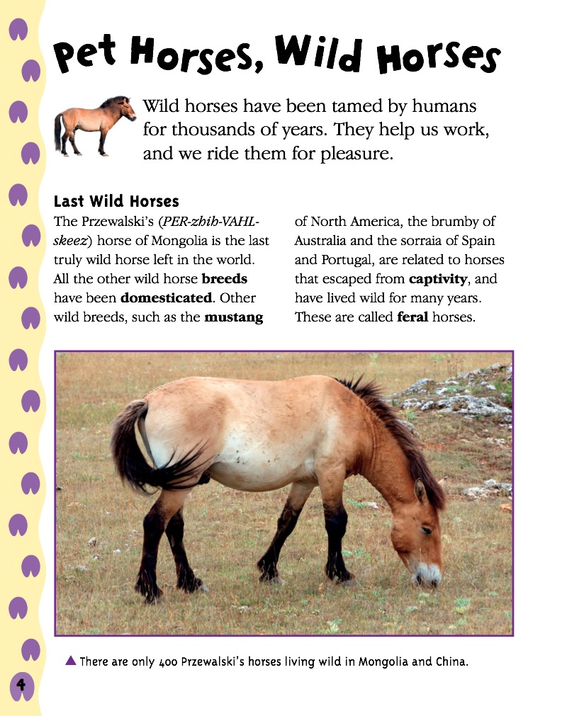 Horses — page 1