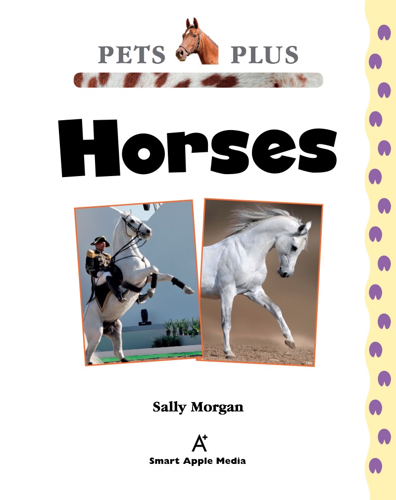 Horses book cover