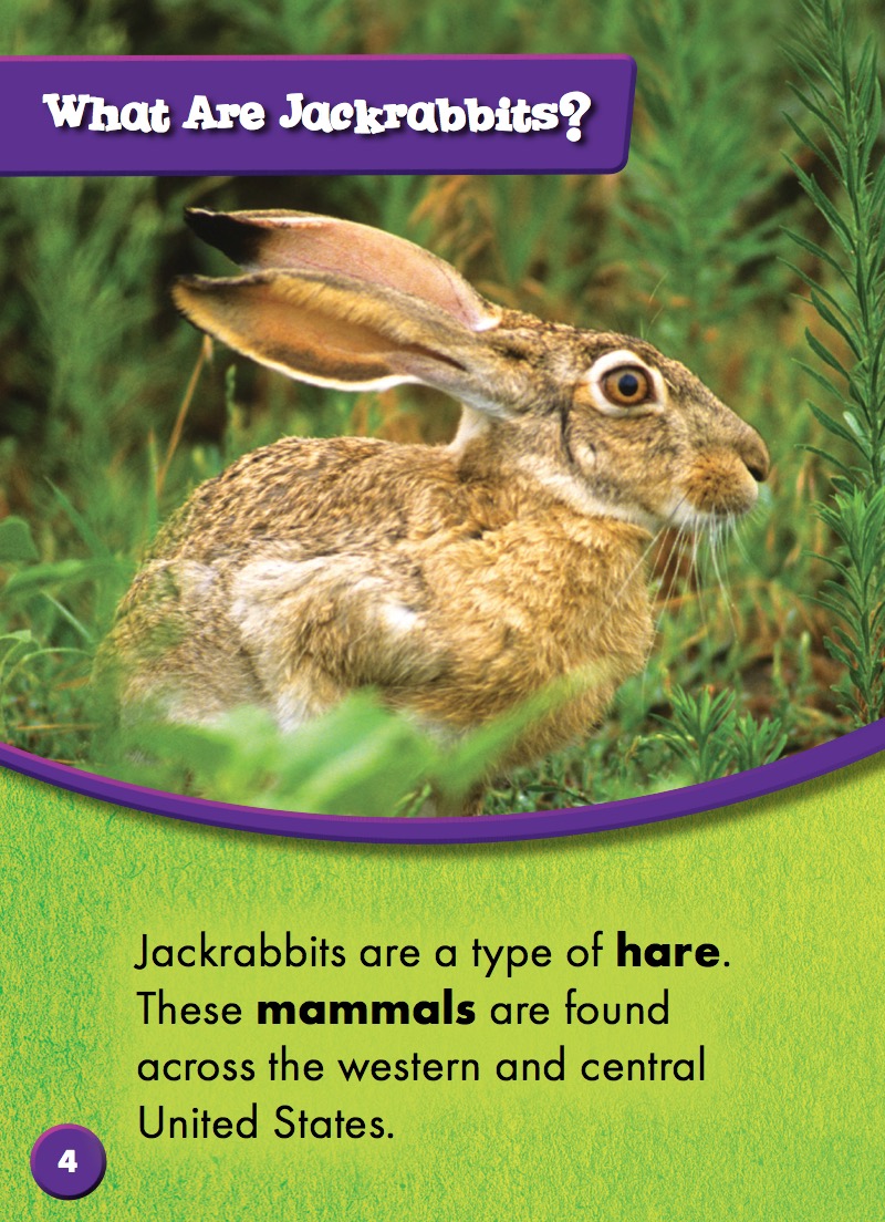 Jackrabbits — page 1