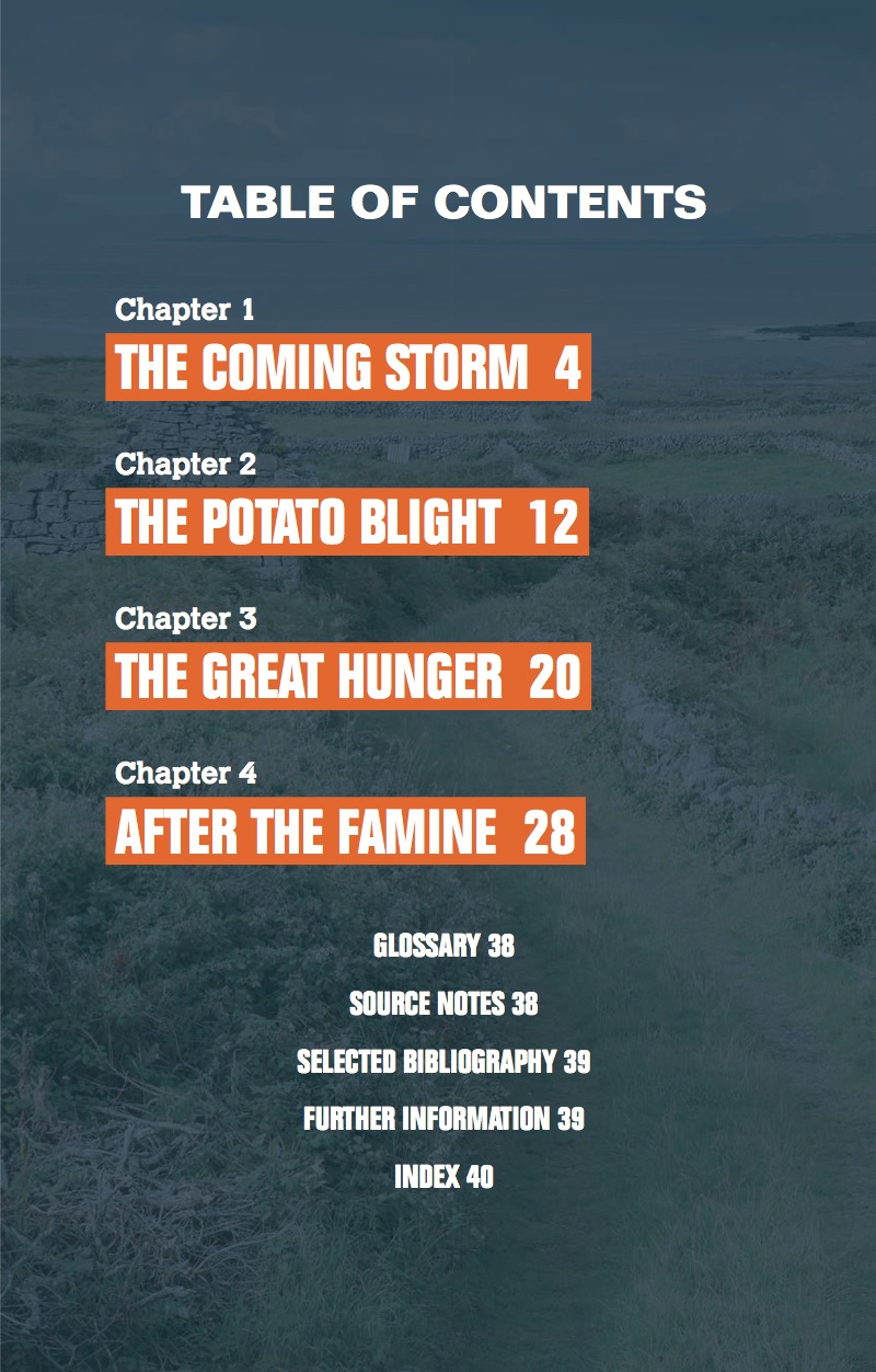 The Irish Potato Famine book cover