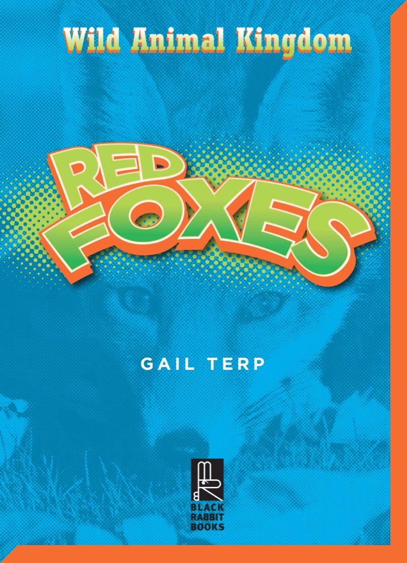 Red Foxes book cover