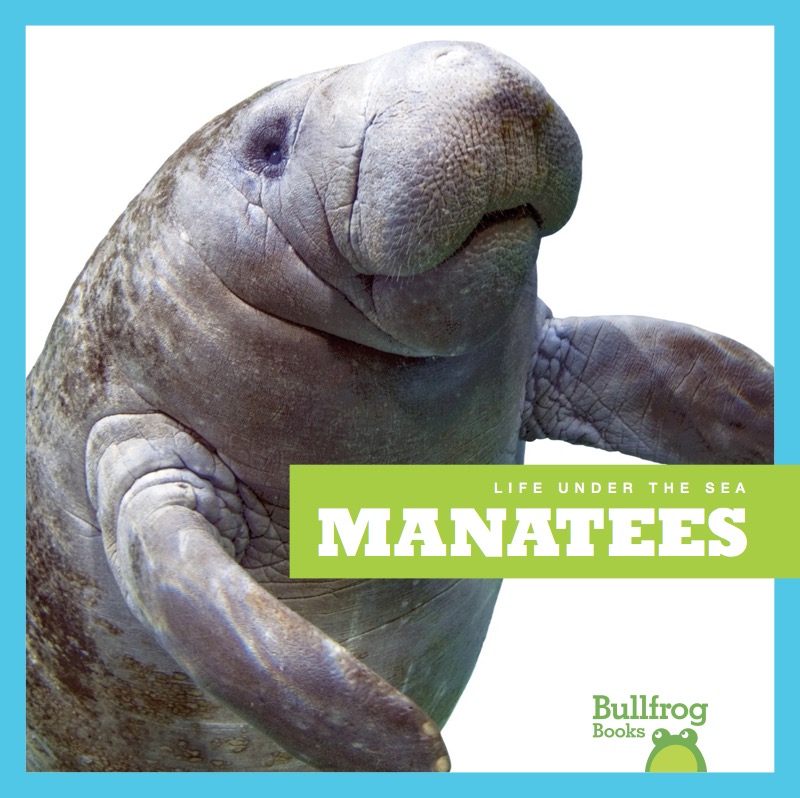 Life Under The Sea: Manatees book cover