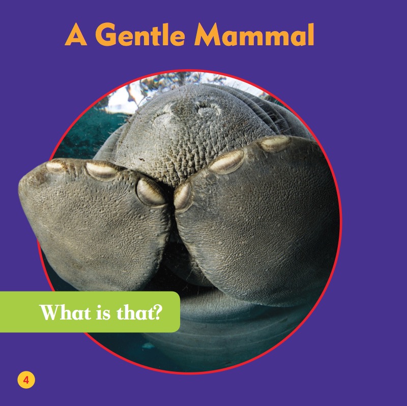 Life Under The Sea: Manatees — page 1