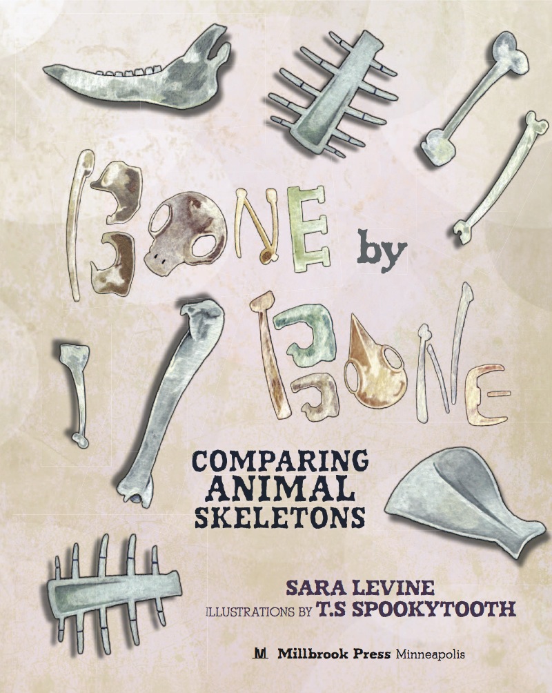 Bone by Bone: Comparing Animal Skeletons book cover