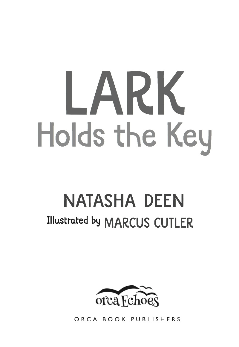 Lark Holds the Key book cover