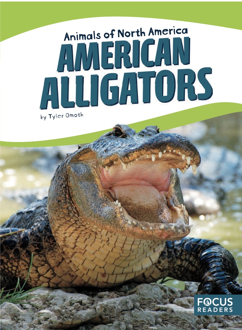 American Alligators book cover