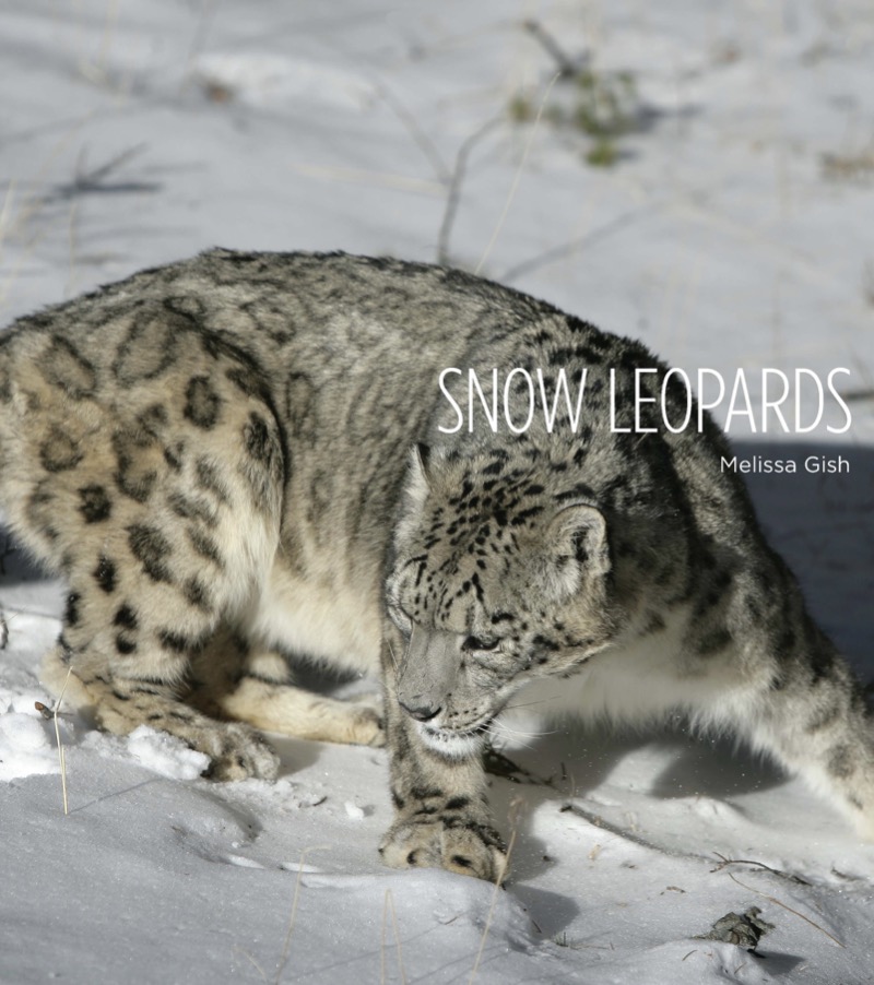 Snow Leopards book cover