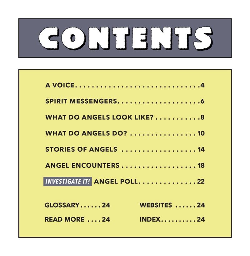 Angels book cover