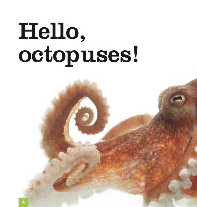 Octopuses — page 1
