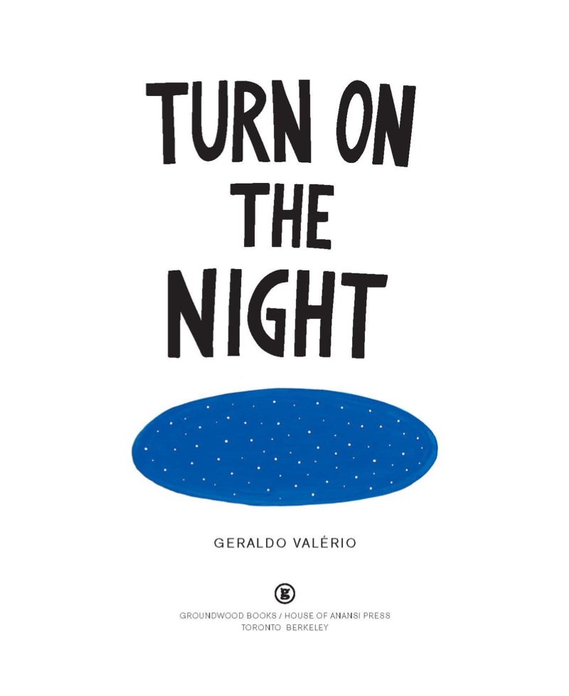 Turn on The Night book cover