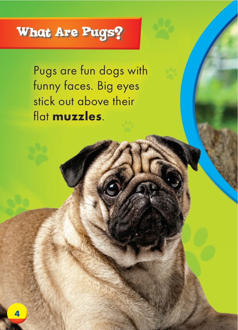 Awesome Dogs: Pugs — page 1