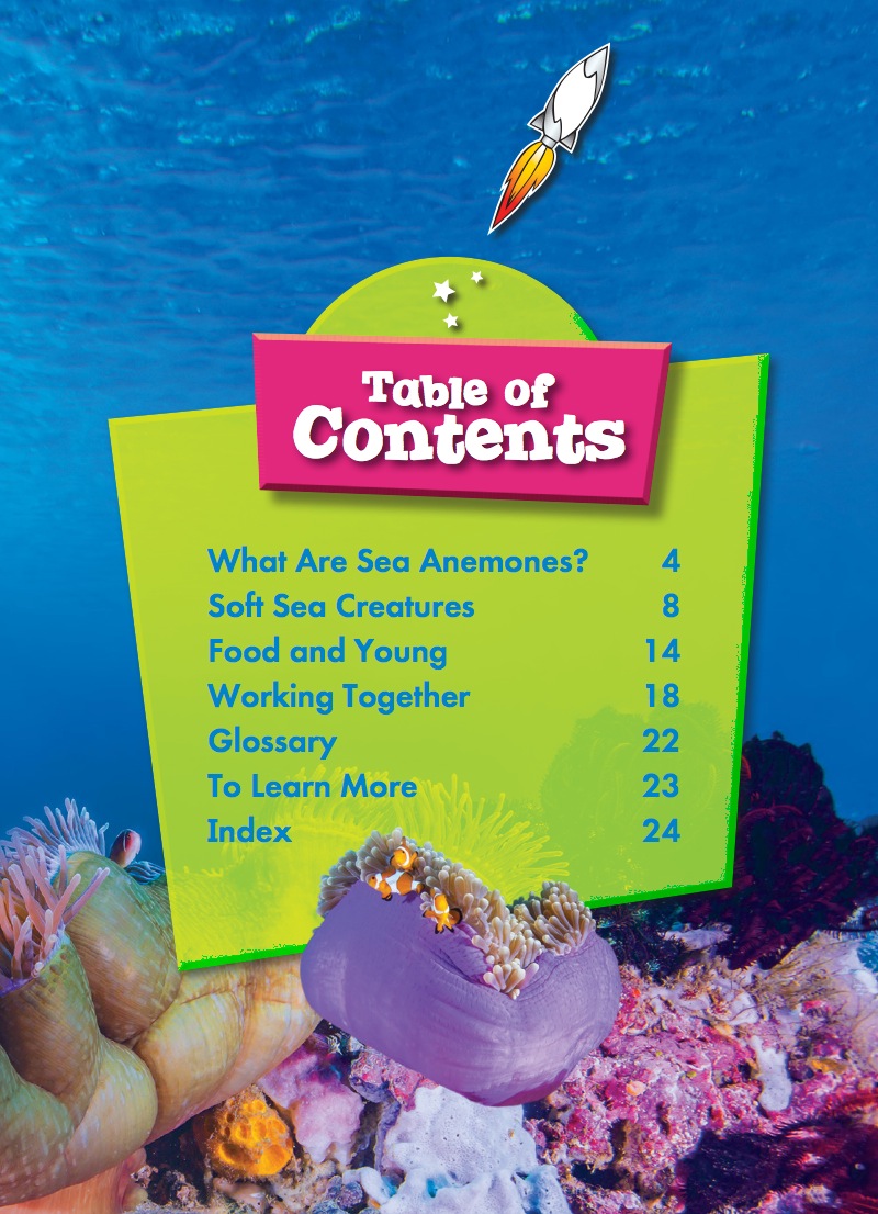 Ocean Life Up Close: Sea Anemones book cover