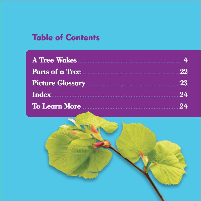 What Happens In Spring? Trees In Spring book cover
