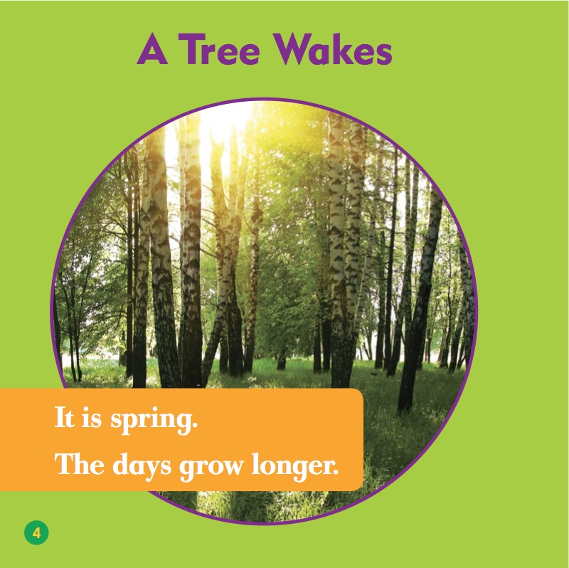What Happens In Spring? Trees In Spring — page 1