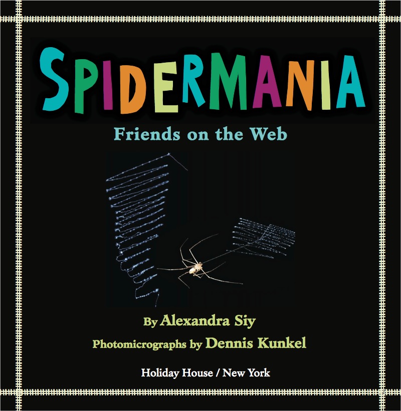 Spidermania: Friends on the Web book cover