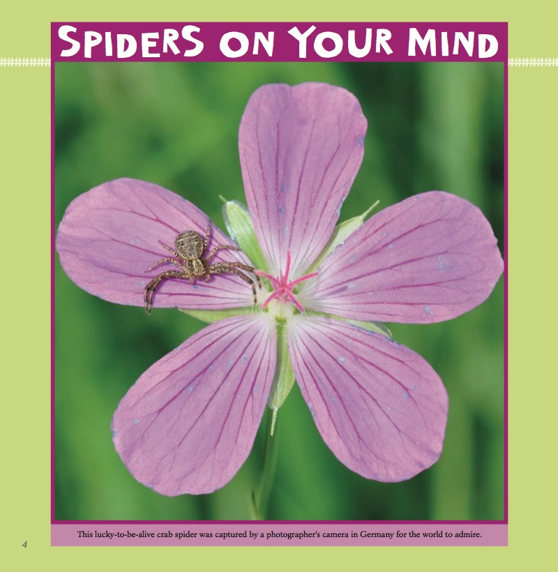 Spidermania: Friends on the Web — page 1