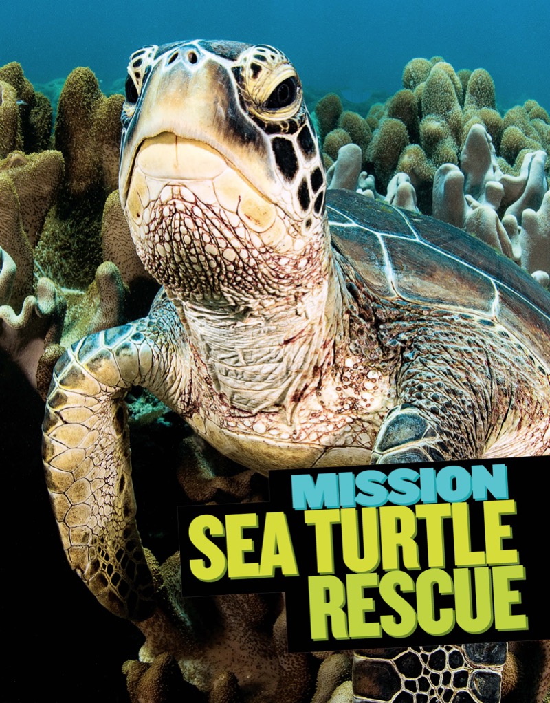 National Geographic Kids Mission: Sea Turtle Rescue book cover