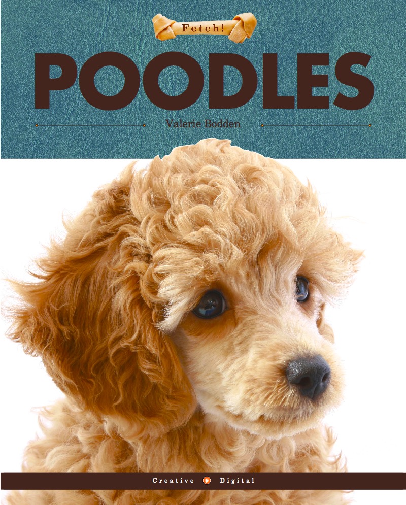 Poodles book cover