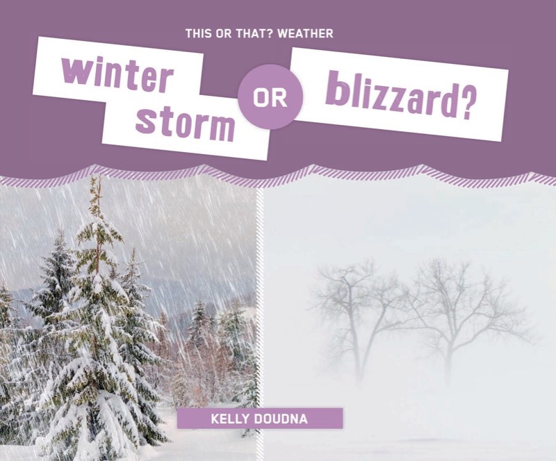 Winter Storm or Blizzard? book cover