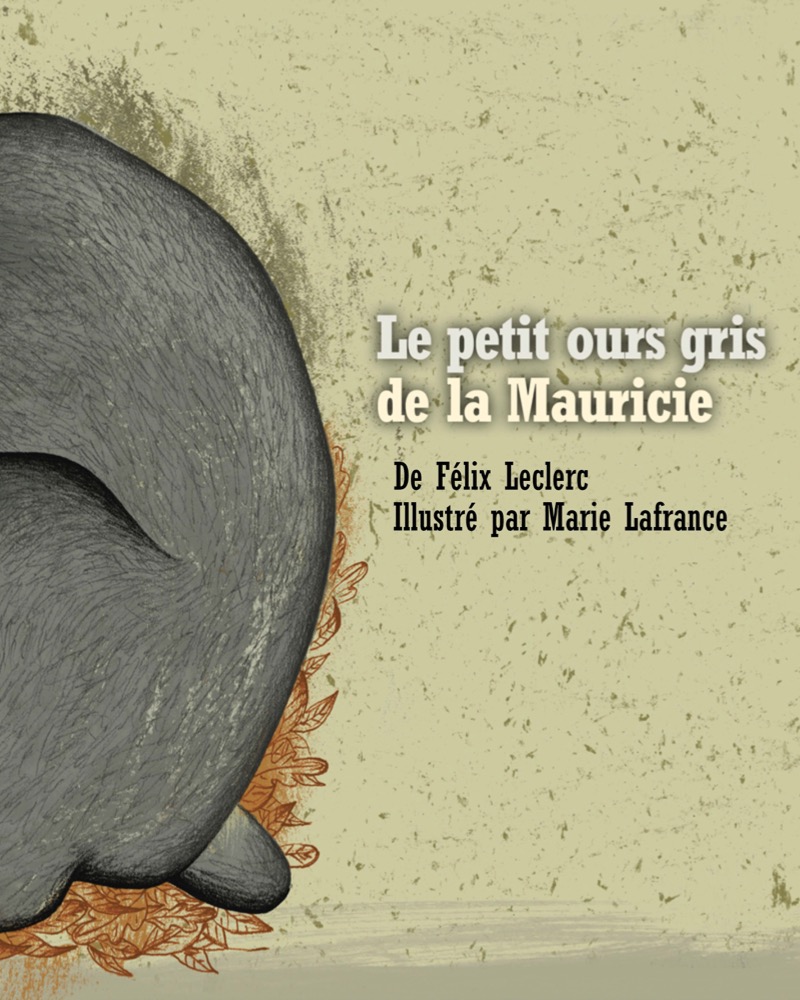 Le petit ours gris de la Mauricie book cover