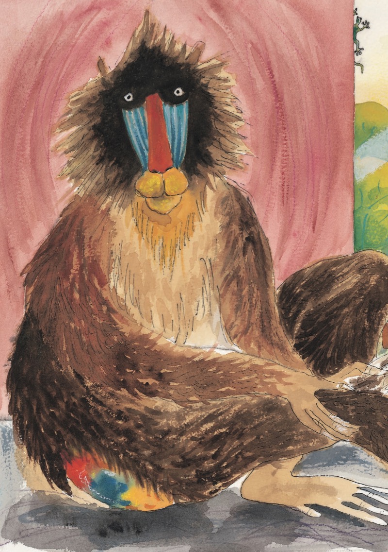 Cyril The Mandrill — page 1