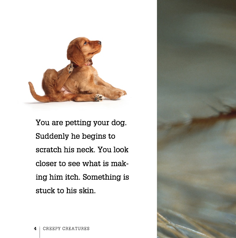 Fleas — page 1